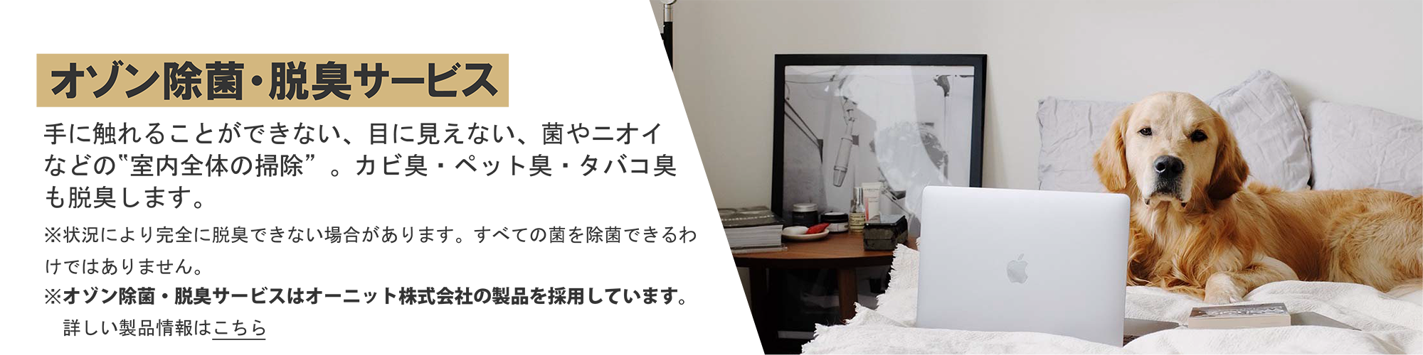 オゾン除菌・脱臭サービス